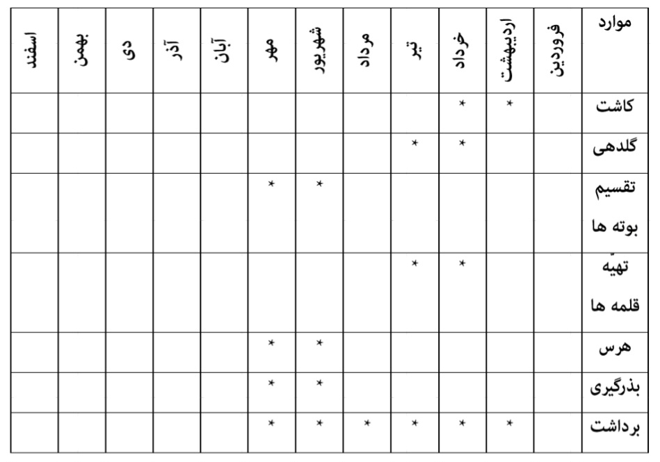 تقویم سالانه پرورش گیاه "آویشن معمولی "