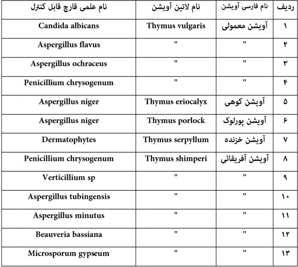 آویشن و خواص ضد (قارچی، انگلی و ویروسی)